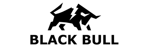 Blackbull pro 12V 45AH Akku Zyklenfest XXL Schraub -SGB